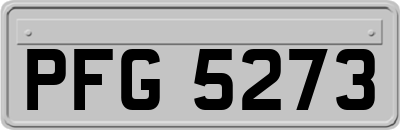 PFG5273