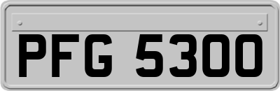 PFG5300
