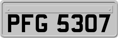 PFG5307