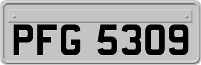 PFG5309
