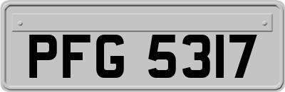 PFG5317