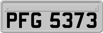 PFG5373