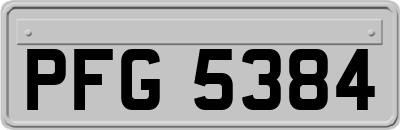 PFG5384