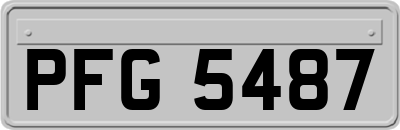 PFG5487