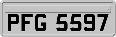 PFG5597