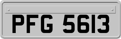 PFG5613