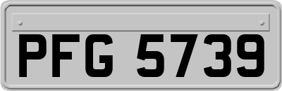 PFG5739