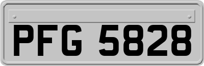 PFG5828