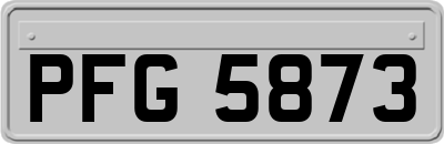 PFG5873