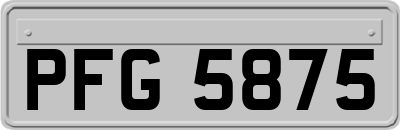 PFG5875