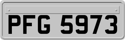 PFG5973