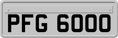 PFG6000