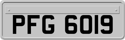 PFG6019