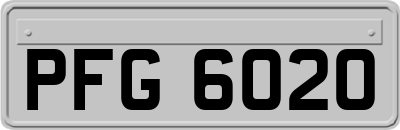 PFG6020