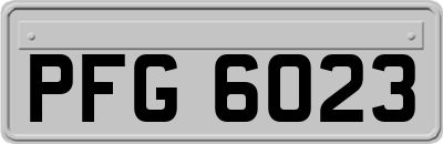 PFG6023