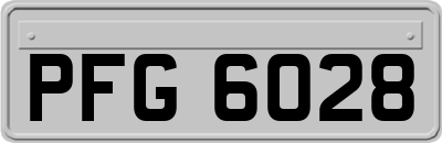 PFG6028