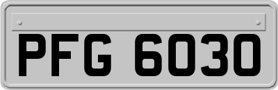 PFG6030
