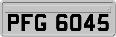 PFG6045