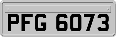 PFG6073