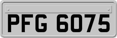 PFG6075