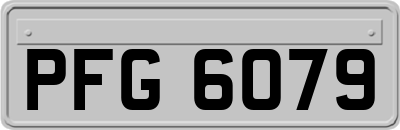 PFG6079