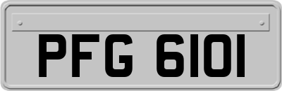 PFG6101