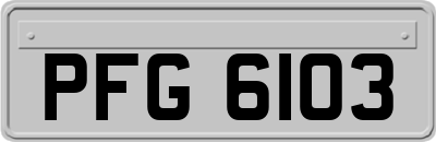 PFG6103