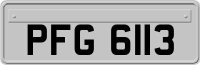 PFG6113