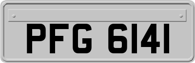 PFG6141