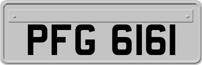 PFG6161