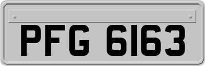 PFG6163