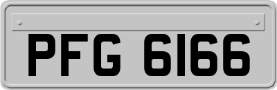 PFG6166