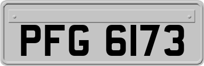 PFG6173