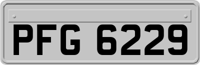 PFG6229