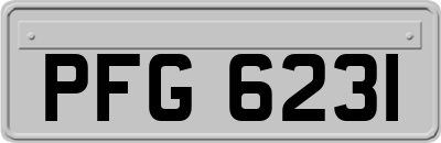 PFG6231