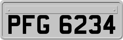 PFG6234