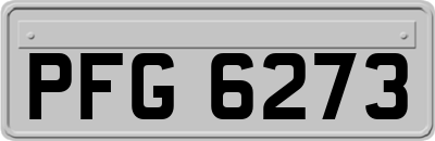 PFG6273