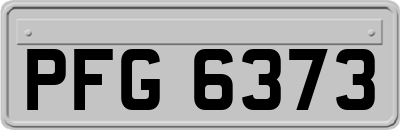 PFG6373
