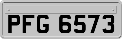 PFG6573