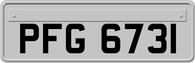 PFG6731