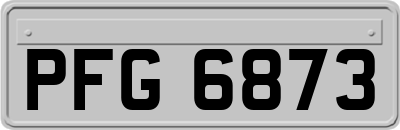 PFG6873