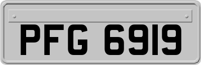 PFG6919