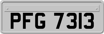 PFG7313