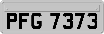 PFG7373