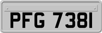 PFG7381