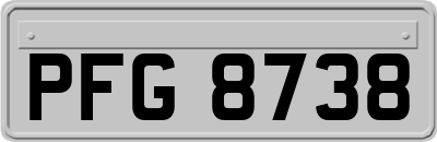 PFG8738