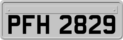 PFH2829