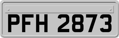PFH2873