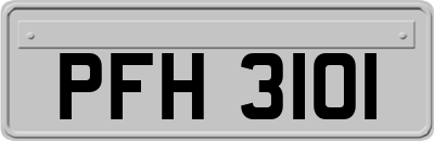 PFH3101