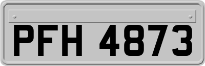 PFH4873